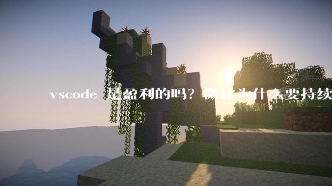 vscode 是盈利的吗？微软为什么要持续投入开发***？